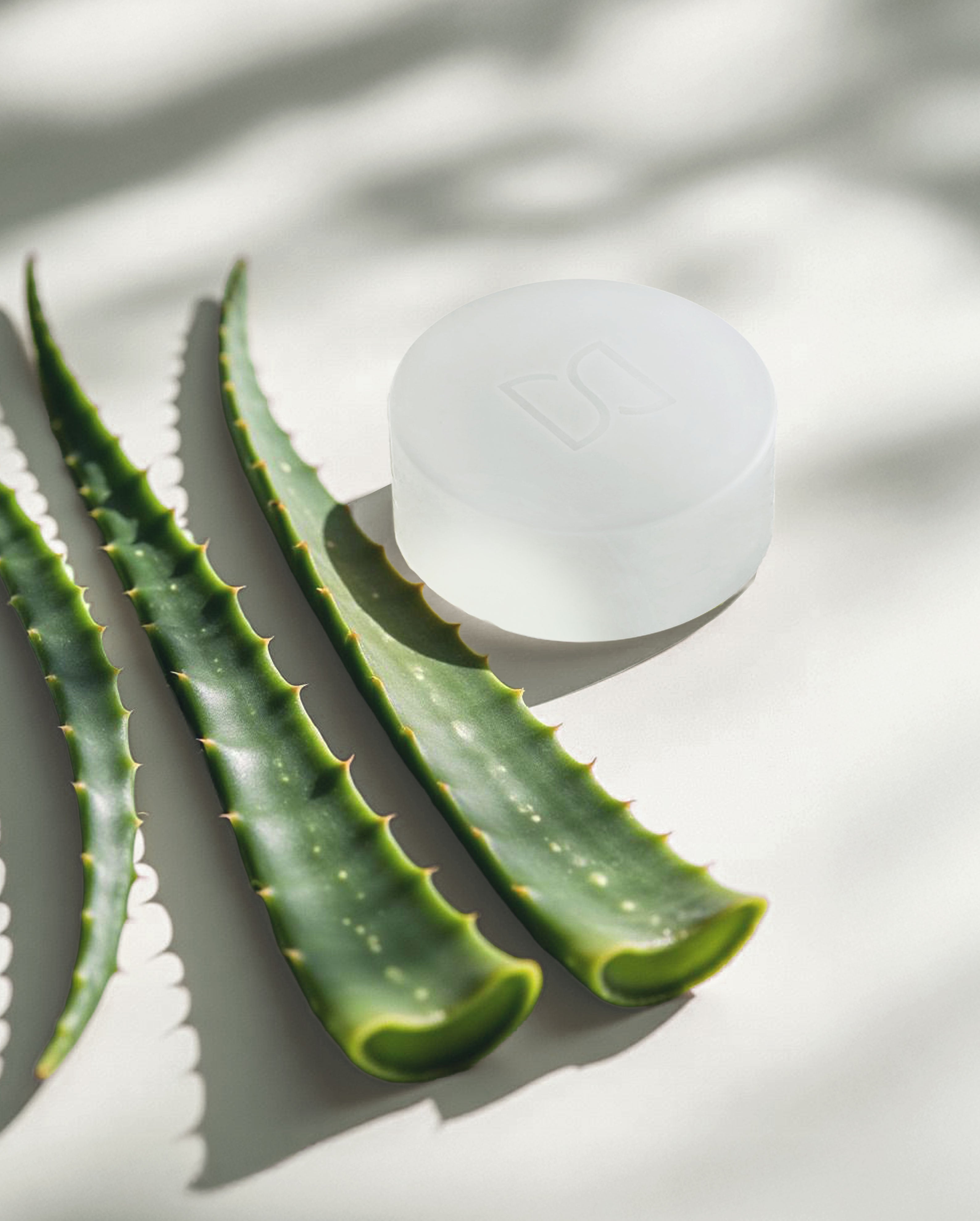 Serenity Bar Soap – Aloe